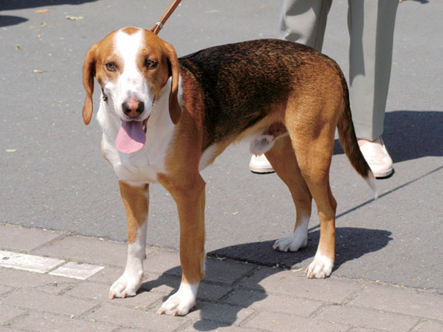 �����Ƒ��Ɍ}����O��